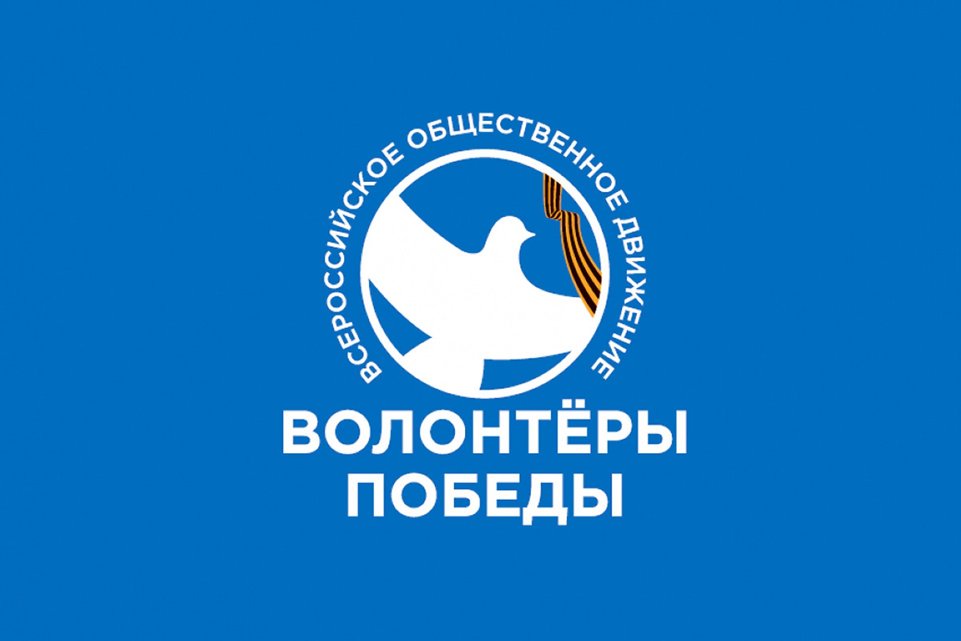 Деятельность Международного волонтерского корпуса 80-летия Победы в Великой Отечественной войне